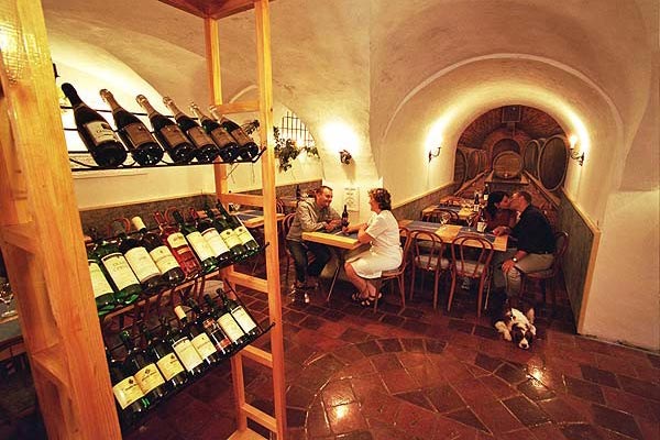 Wine Cellar - Pážecí Dům